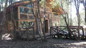 Wonderful rustic cottage with native logs, with river Trancura